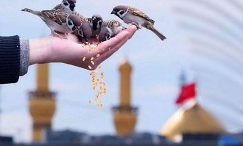 تور مشهد با قطار کاشان